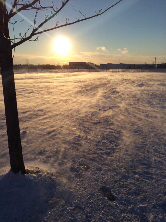 女皇大人说暑假去泰国玩,怎么都不肯-手机随手