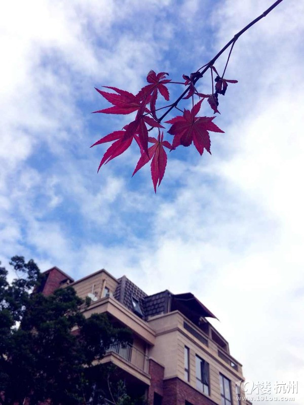 佳进文化传播有限公司招聘-运营专员-月薪300