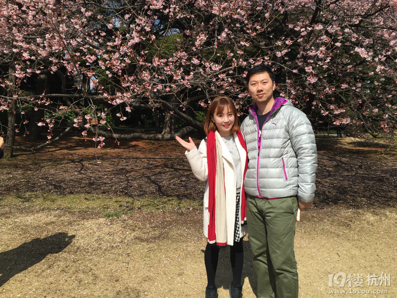 【你好!三月】日本樱花图片奉上~大阪环球影城