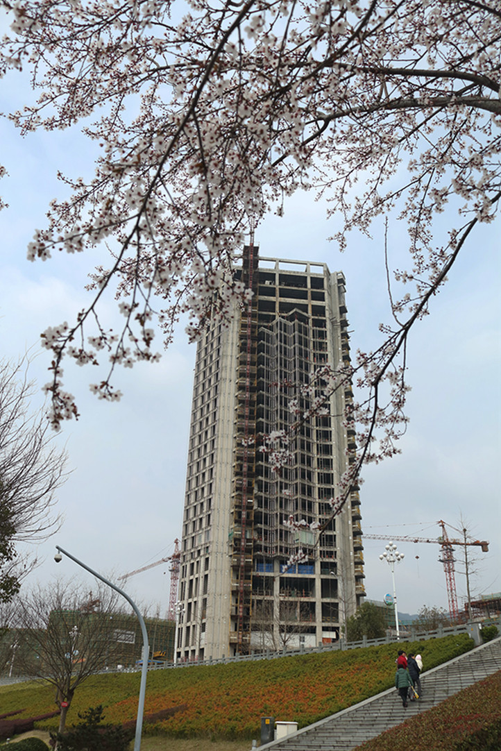 花卉2