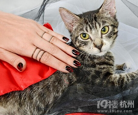 2015年最新個性新娘美甲圖片