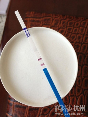 早孕试纸怎么用?怎么看?-想要宝宝-杭州19楼