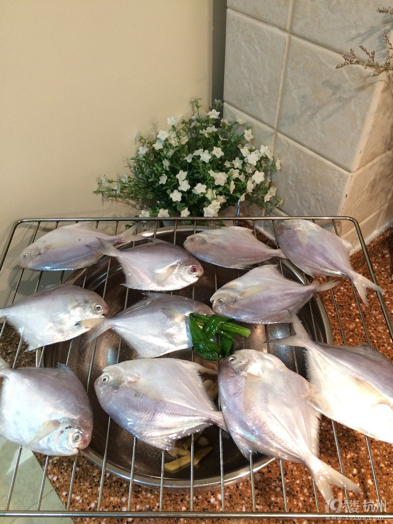 小鯧魚的新食法----苔香小鯧魚