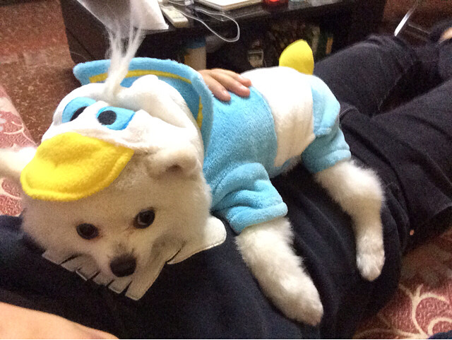 多希望你能在我没在身边的时候照顾-手机随手