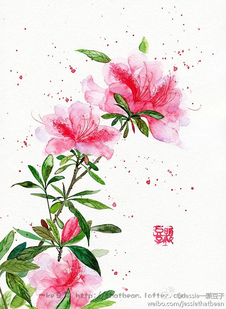 【小说封面】手绘古风花卉素材-小说封面-杭州