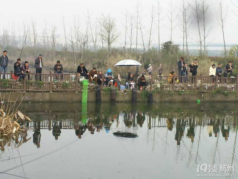 欢迎大家来萧山大江东野钓!-行摄天下-钓鱼俱乐