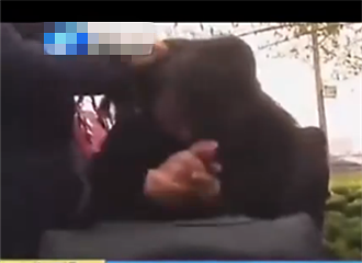 ԭ��ŭ�����С����̧ͷ��˭Ư��