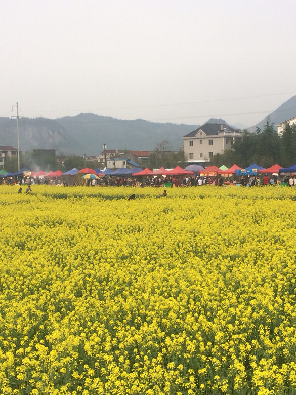 今天天气挺好的 万里