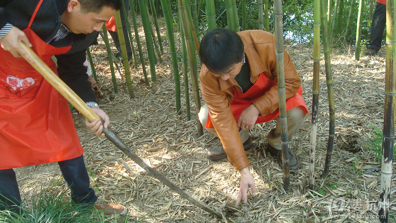 杭州短途活动方案 (适合班级亲子、公司员工及