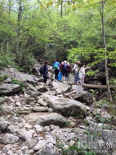 ÿһ·һNI(lng)y书ɽ֮