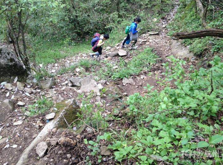 ÿһ·һNI(lng)y书ɽ֮