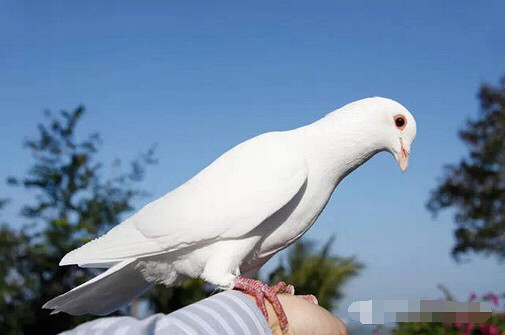 从夏天到冬天,满天冰雹连着下,我