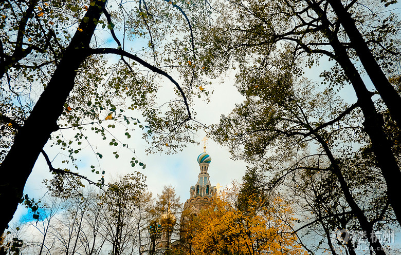 MWF·L֮