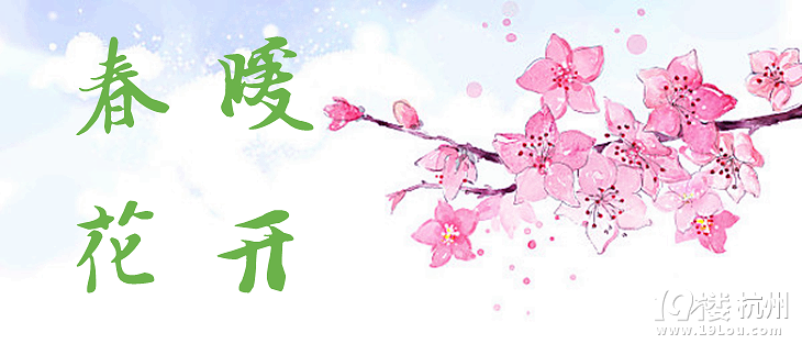 ů_korea jeju֮ һȺµŮͬ