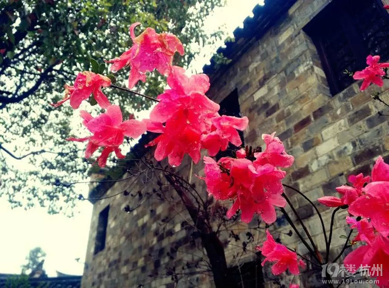 小时候想成为一代侠女,长大后成了一代游侠-游