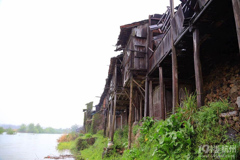 【春暖花开】小时候想成为一代侠女,长大后成