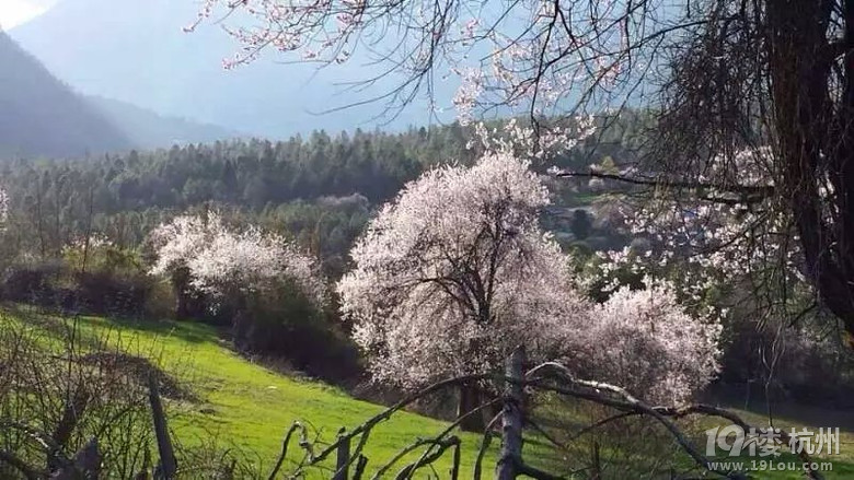 4月底5月每天成都出发去新都桥稻城亚丁川藏