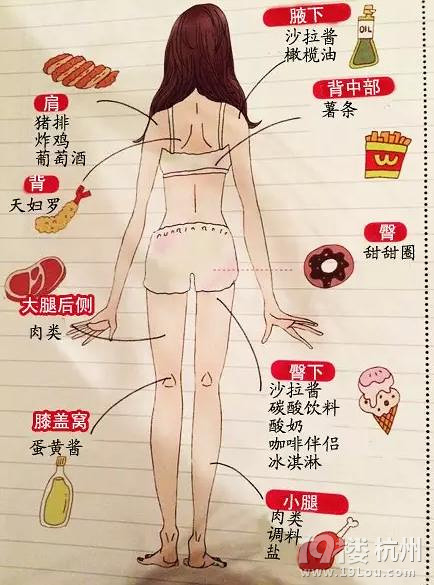 吃什么会胖<em>哪里</em> 彩图版,<em>妹子</em>们都来看看吧!-图