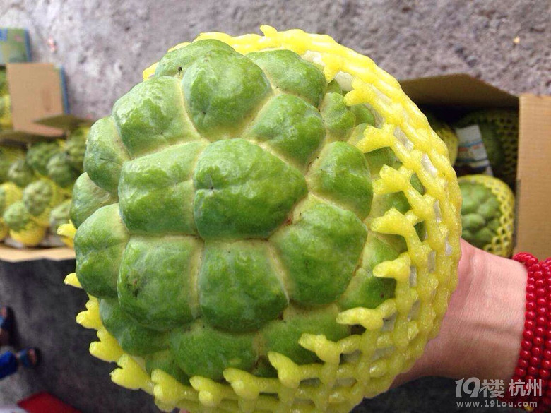 【春暖花开】环游台湾岛,澎湖列岛及七美岛(持