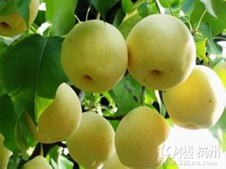 孕妇上火吃什么?又可以吃什么水果呢-准妈妈俱