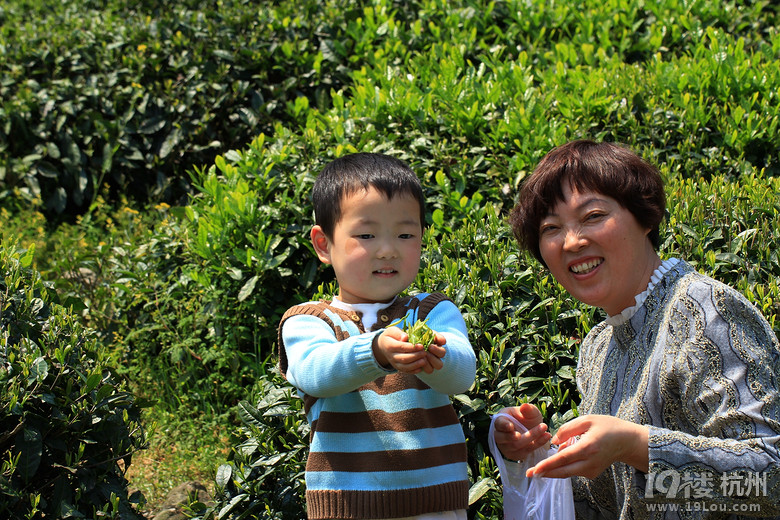 千岛湖茶文化之旅片断2-活动-大杭州旅游-杭州