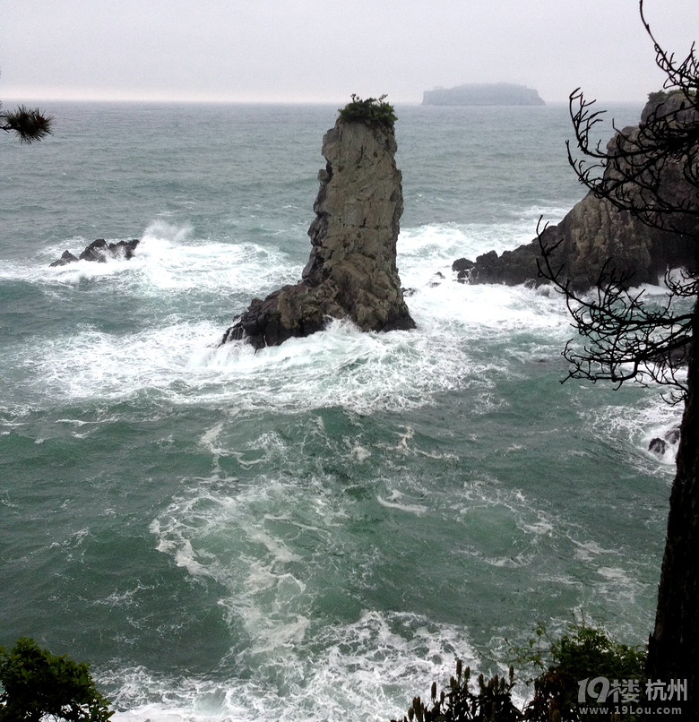 ů_korea jeju֮ һȺµŮͬ