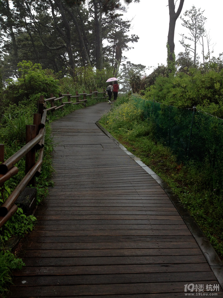 ů_korea jeju֮ һȺµŮͬ