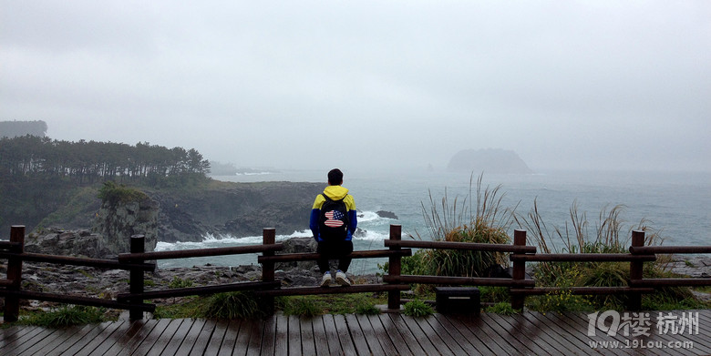 ů_korea jeju֮ һȺµŮͬ