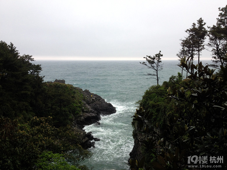 ů_korea jeju֮ һȺµŮͬ
