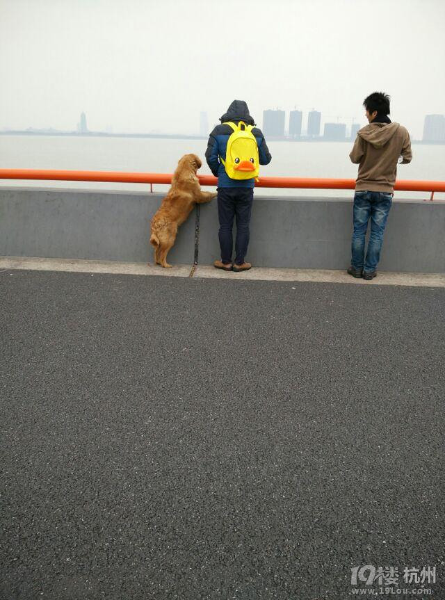 【寵物之星】+大話丁哥