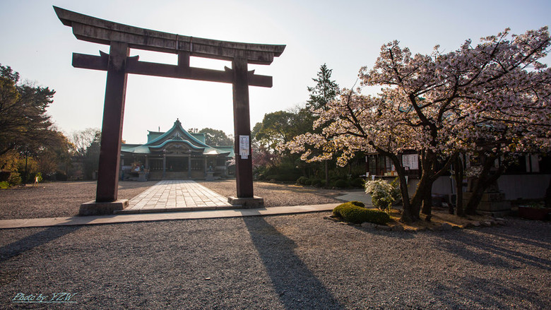 樱花季日本行--大阪丰国神社-边走边拍-边走边