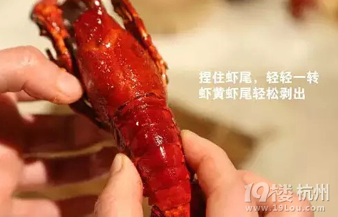 這才是吃龍蝦的正確姿勢！吃貨必備！