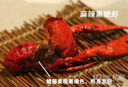 這才是吃龍蝦的正確姿勢！吃貨必備！