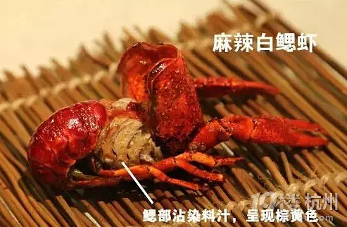 這才是吃龍蝦的正確姿勢！吃貨必備！