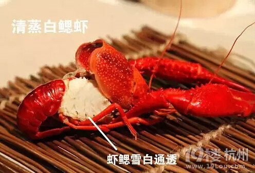 這才是吃龍蝦的正確姿勢！吃貨必備！