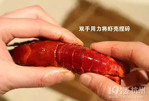這才是吃龍蝦的正確姿勢！吃貨必備！