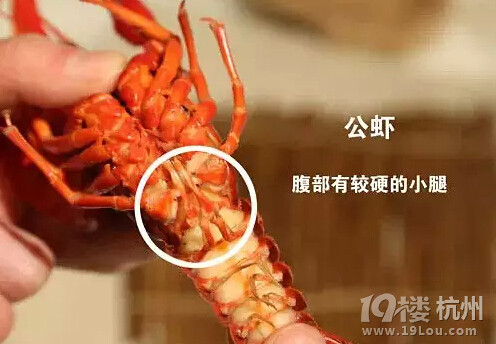 這才是吃龍蝦的正確姿勢！吃貨必備！