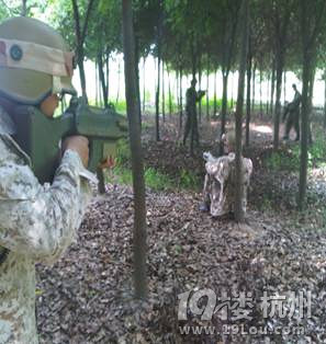這個(gè)五一可以來(lái)這里盡情采桑葚啦