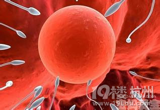 不排卵的症状有哪些?-想要宝宝-杭州19楼