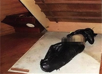 ���ײ���Ůʬ ���¿�����Ȼ��֪