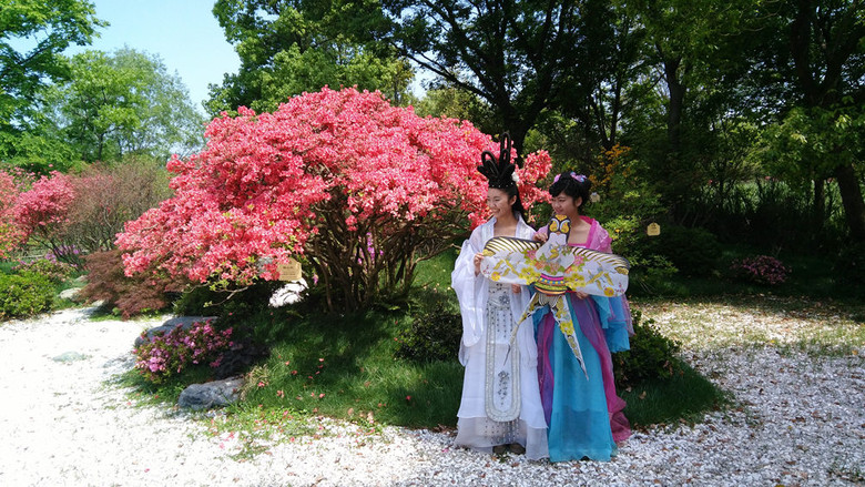 西溪花仙子