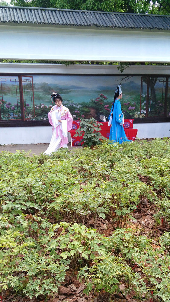 西溪花仙子