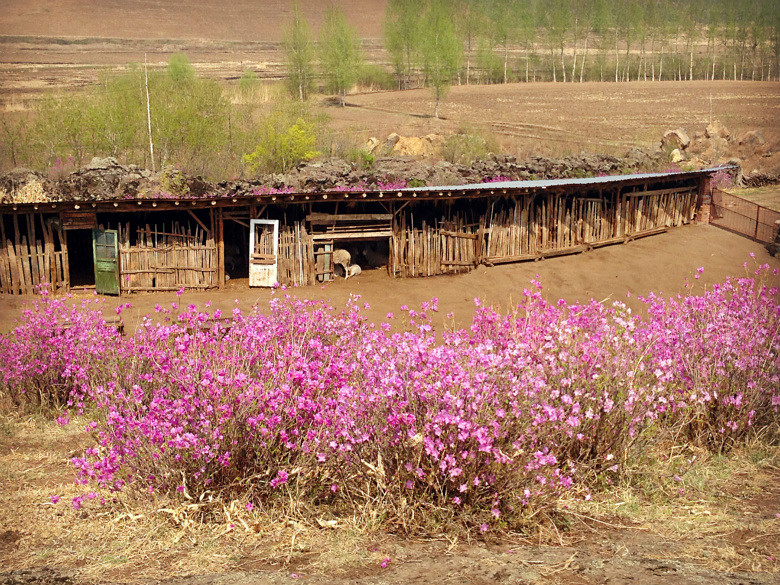 《骄婿》:三叹--(瘦文养肥中,更至49章)_最新章