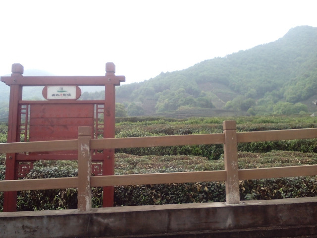 外桐坞村，一个艺-大杭州旅游-杭州19楼