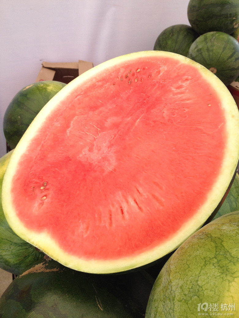 【活动】五一小长假都干什么了?去了哪儿?欢