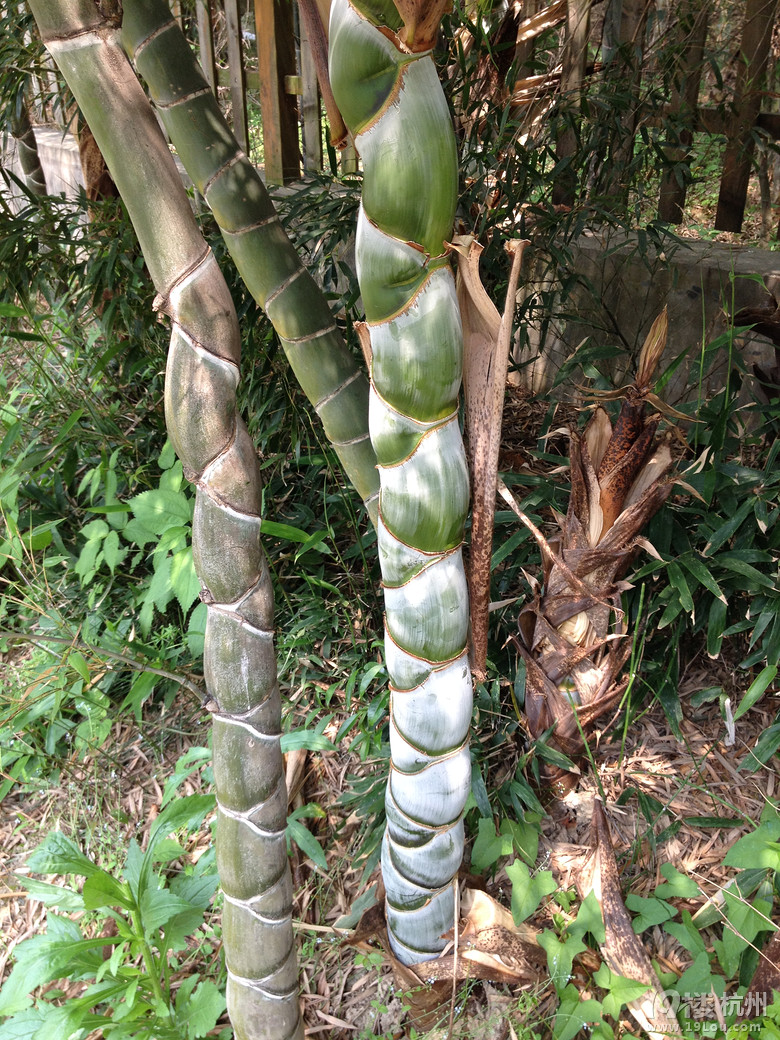 【活动】五一小长假都干什么了?去了哪儿?欢