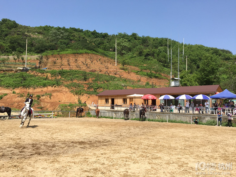 陪孩子一起参加马术一日游活动 非常有意义-活