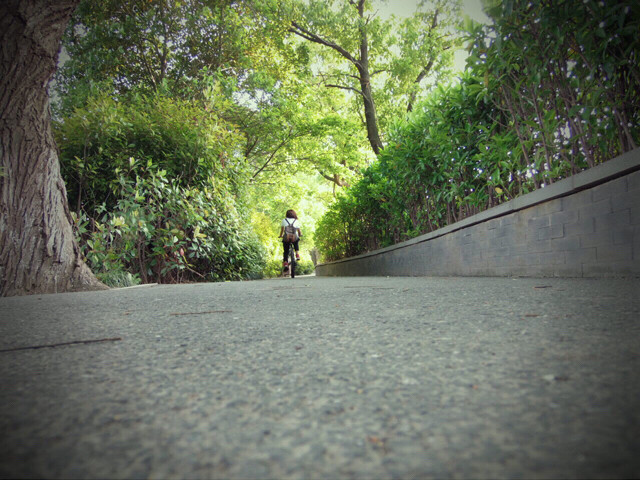 就这么一路走下去-手机随手拍-杭州19楼