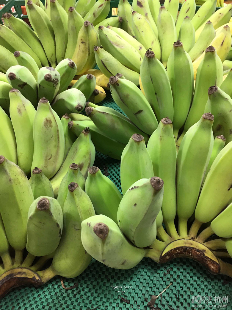 【五月去哪儿】三亚印象·一场爱与美食的旅行