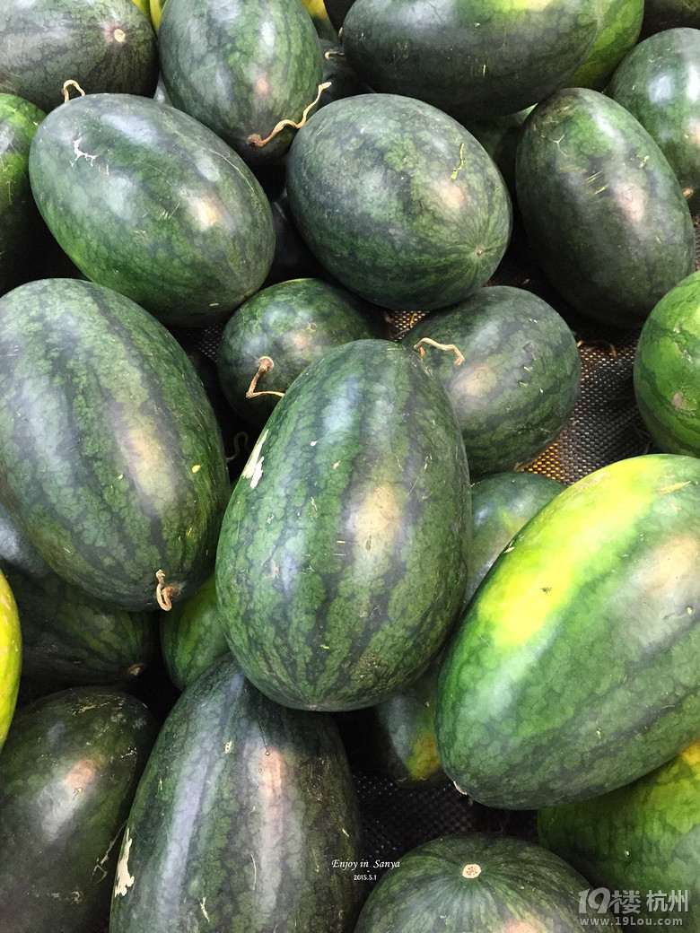 【五月去哪儿】三亚印象·一场爱与美食的旅行